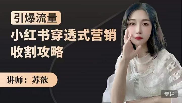 小红书穿透式营销收割攻略，引爆流量，助你玩转小红书-让一部分人先富起来默财创业网