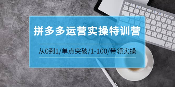 拼多多运营实操特训营：从0到1/单点突破/1-100/带领实操 价值2980元-让一部分人先富起来默财创业网