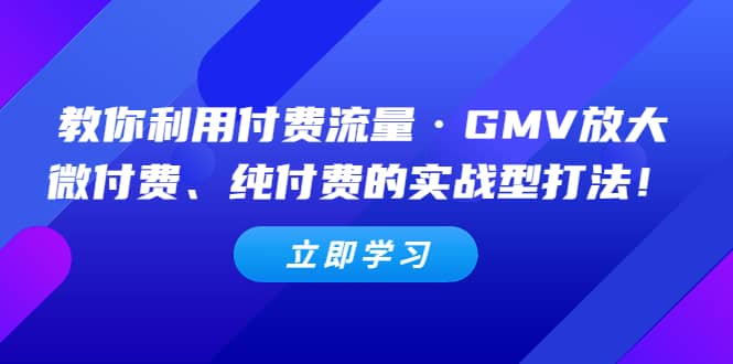 教你利用付费流量·GMV放大，微付费、纯付费的实战型打法-让一部分人先富起来默财创业网