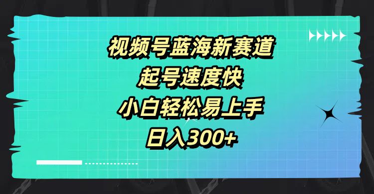 视频号蓝海新赛道，起号速度快，小白轻松易上手，日入300+插图